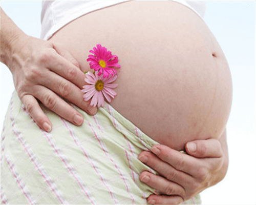 试管移植可以吃芝麻汤圆吗孕妇能吃吗早期
