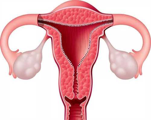 试管移植14天雌二醇正常值是多少呢孕妇