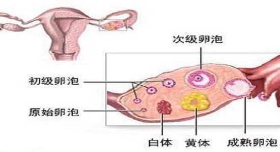 广州哪家代孕医院口碑好-广州代孕的现状